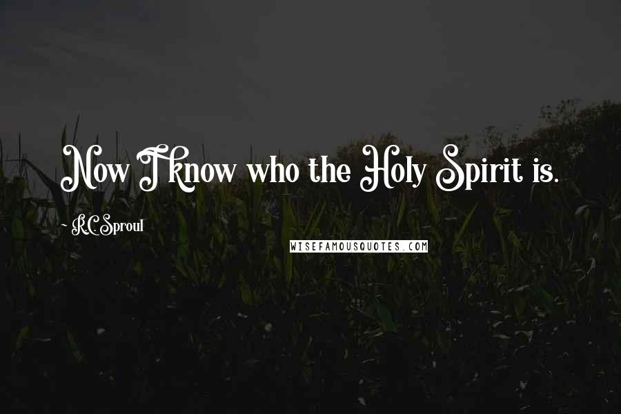 R.C. Sproul Quotes: Now I know who the Holy Spirit is.