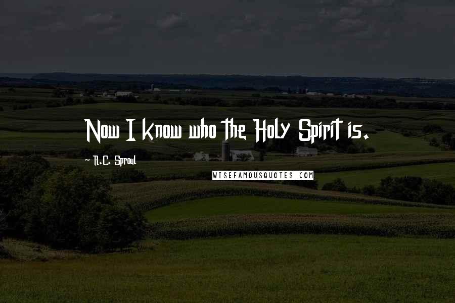 R.C. Sproul Quotes: Now I know who the Holy Spirit is.