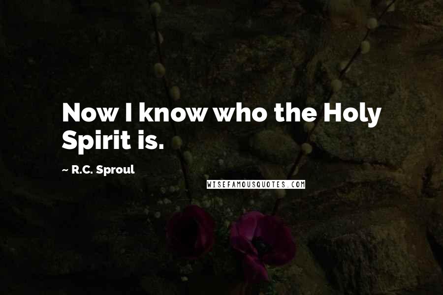 R.C. Sproul Quotes: Now I know who the Holy Spirit is.