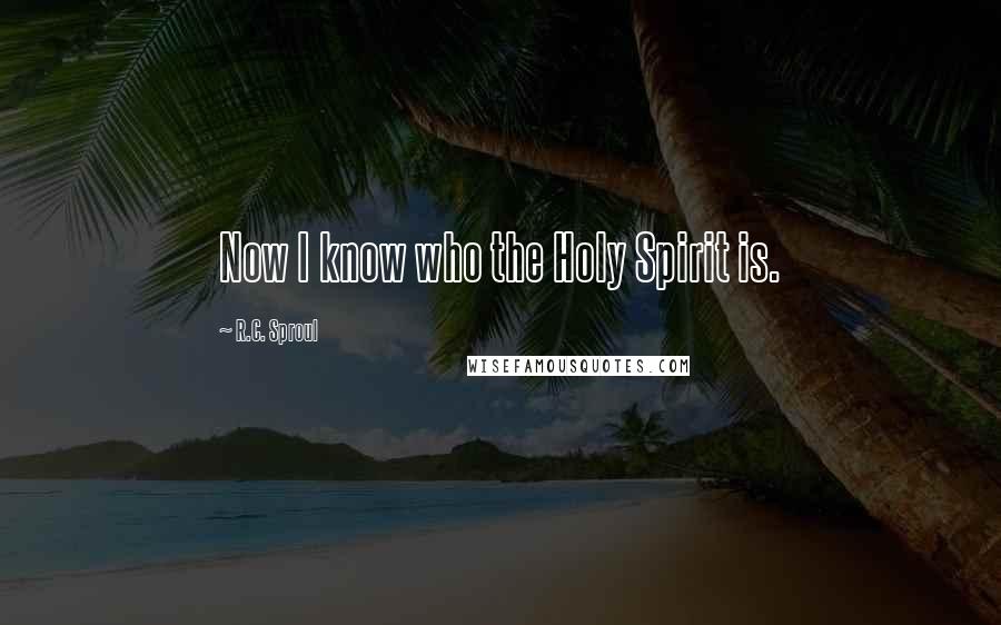 R.C. Sproul Quotes: Now I know who the Holy Spirit is.