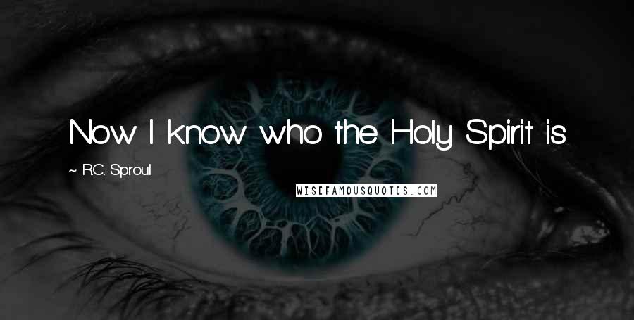 R.C. Sproul Quotes: Now I know who the Holy Spirit is.