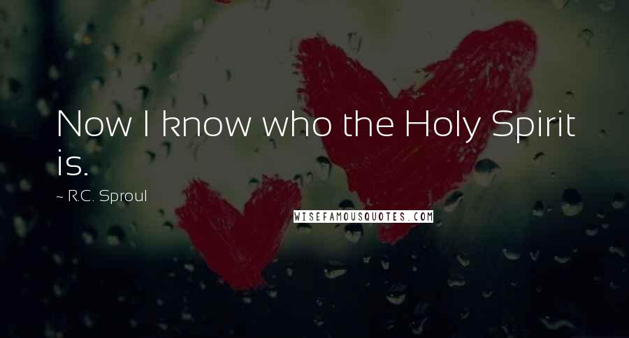 R.C. Sproul Quotes: Now I know who the Holy Spirit is.