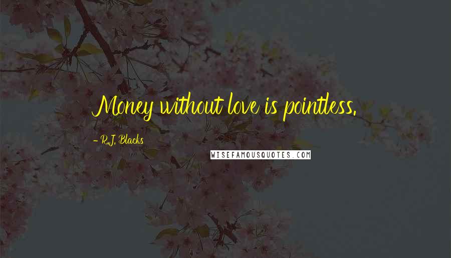 R.J. Blacks Quotes: Money without love is pointless.