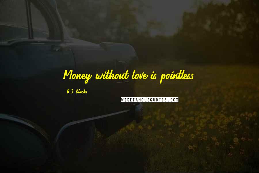 R.J. Blacks Quotes: Money without love is pointless.