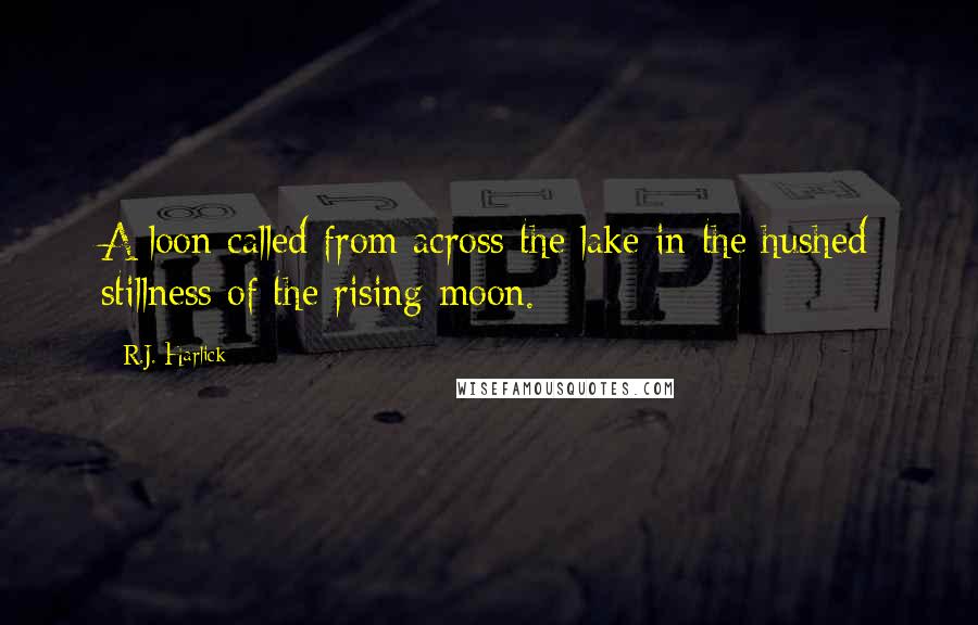 R.J. Harlick Quotes: A loon called from across the lake in the hushed stillness of the rising moon.