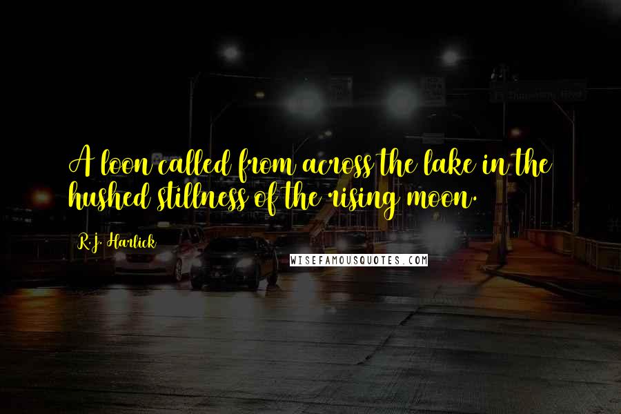 R.J. Harlick Quotes: A loon called from across the lake in the hushed stillness of the rising moon.