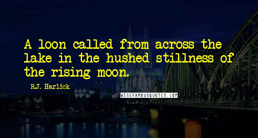 R.J. Harlick Quotes: A loon called from across the lake in the hushed stillness of the rising moon.