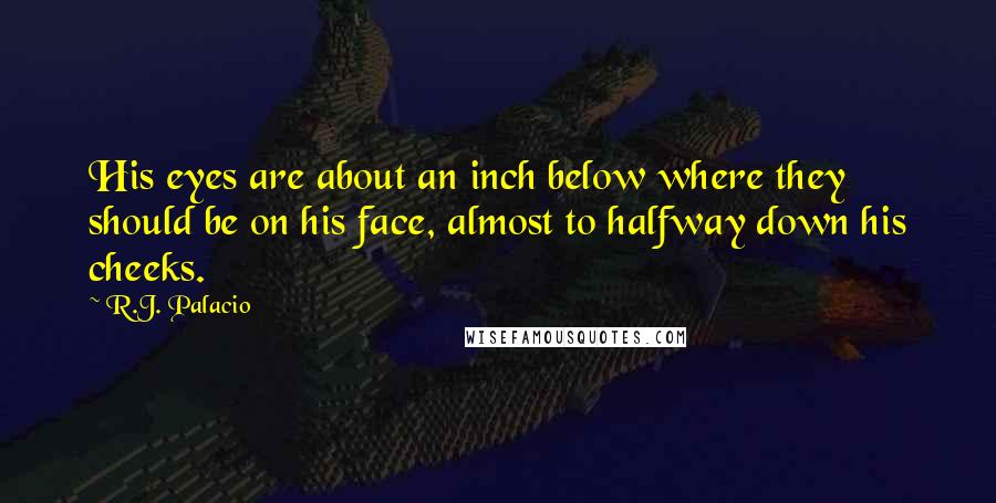 R.J. Palacio Quotes: His eyes are about an inch below where they should be on his face, almost to halfway down his cheeks.