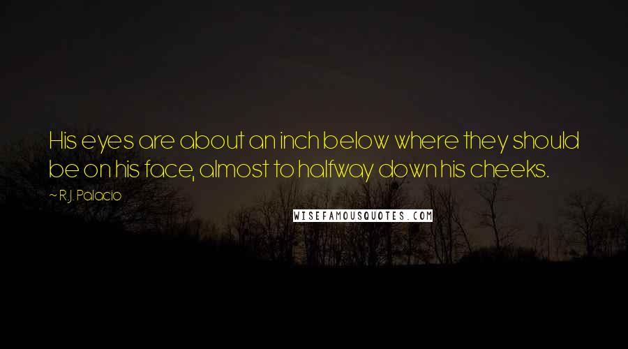 R.J. Palacio Quotes: His eyes are about an inch below where they should be on his face, almost to halfway down his cheeks.