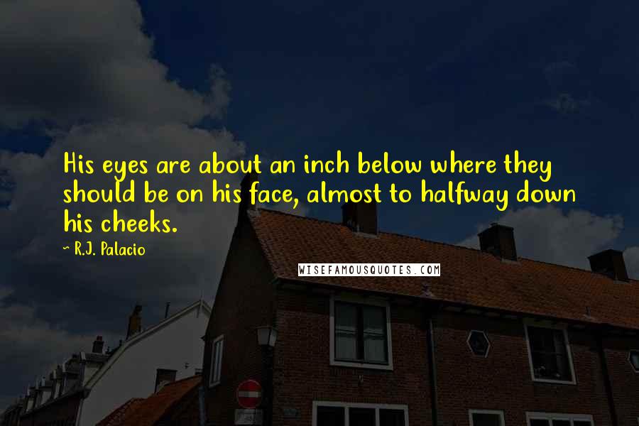 R.J. Palacio Quotes: His eyes are about an inch below where they should be on his face, almost to halfway down his cheeks.