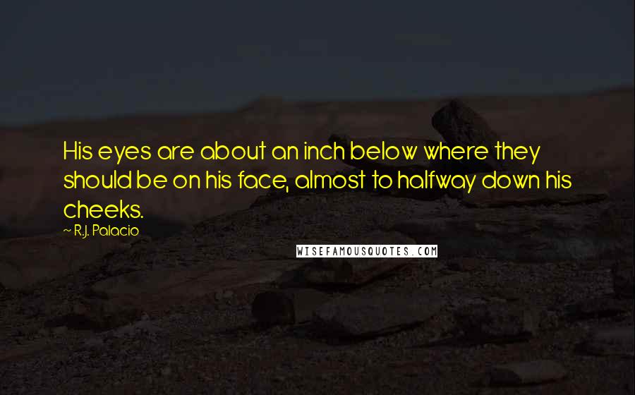 R.J. Palacio Quotes: His eyes are about an inch below where they should be on his face, almost to halfway down his cheeks.