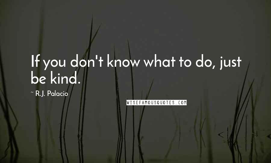 R.J. Palacio Quotes: If you don't know what to do, just be kind.