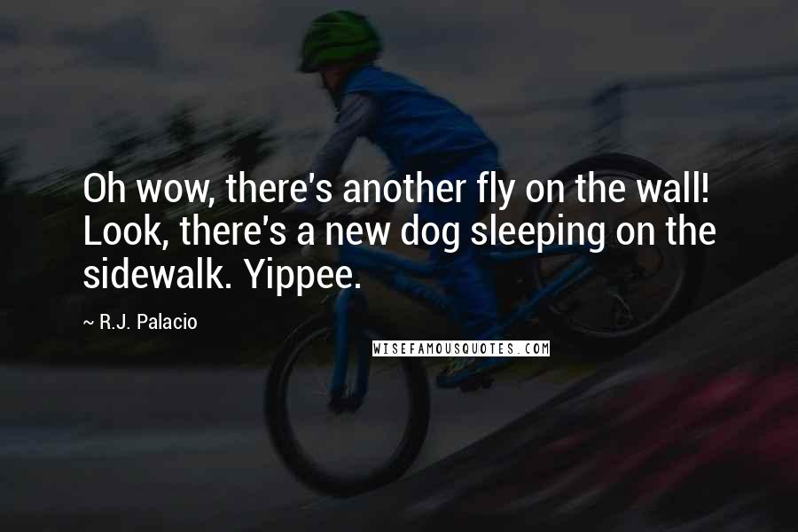 R.J. Palacio Quotes: Oh wow, there's another fly on the wall! Look, there's a new dog sleeping on the sidewalk. Yippee.