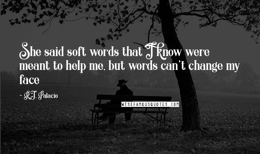 R.J. Palacio Quotes: She said soft words that I know were meant to help me, but words can't change my face