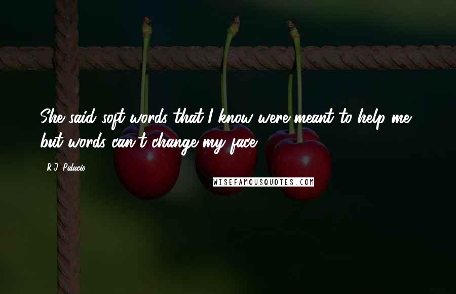 R.J. Palacio Quotes: She said soft words that I know were meant to help me, but words can't change my face