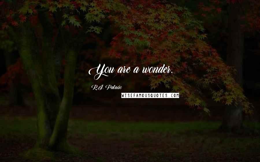 R.J. Palacio Quotes: You are a wonder.