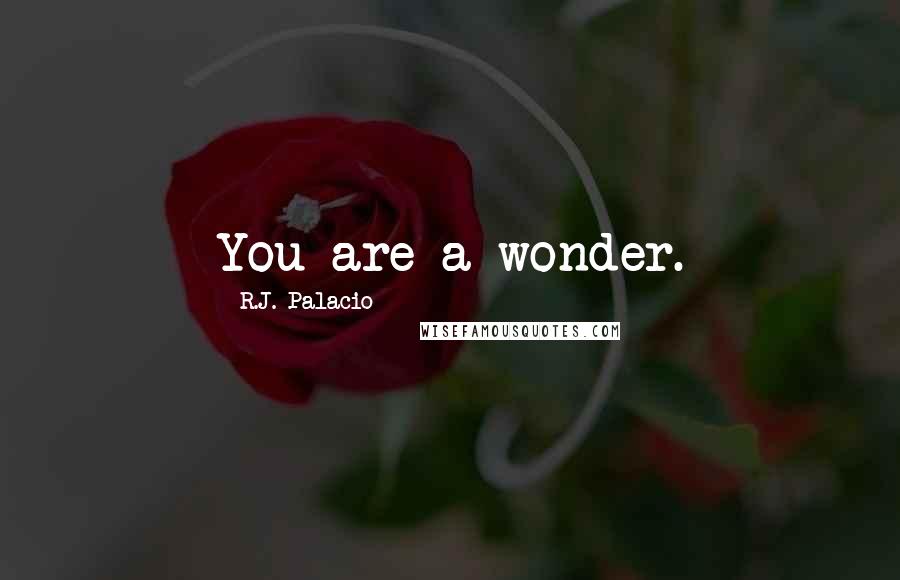 R.J. Palacio Quotes: You are a wonder.