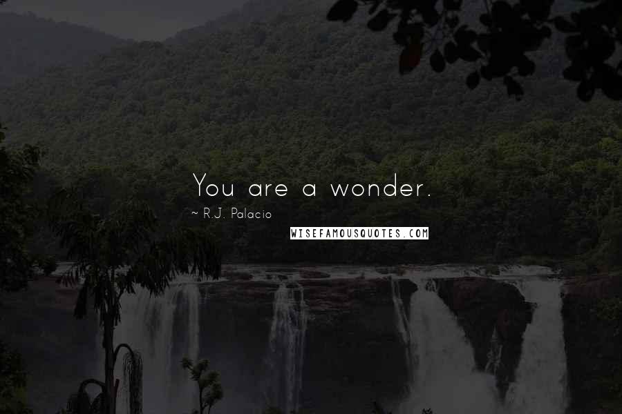 R.J. Palacio Quotes: You are a wonder.