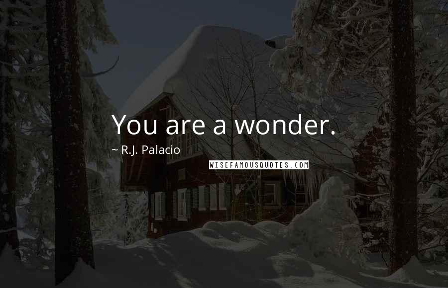 R.J. Palacio Quotes: You are a wonder.