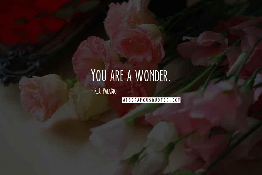 R.J. Palacio Quotes: You are a wonder.