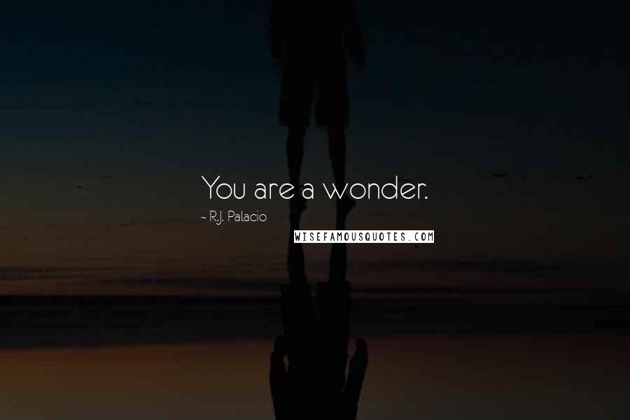 R.J. Palacio Quotes: You are a wonder.