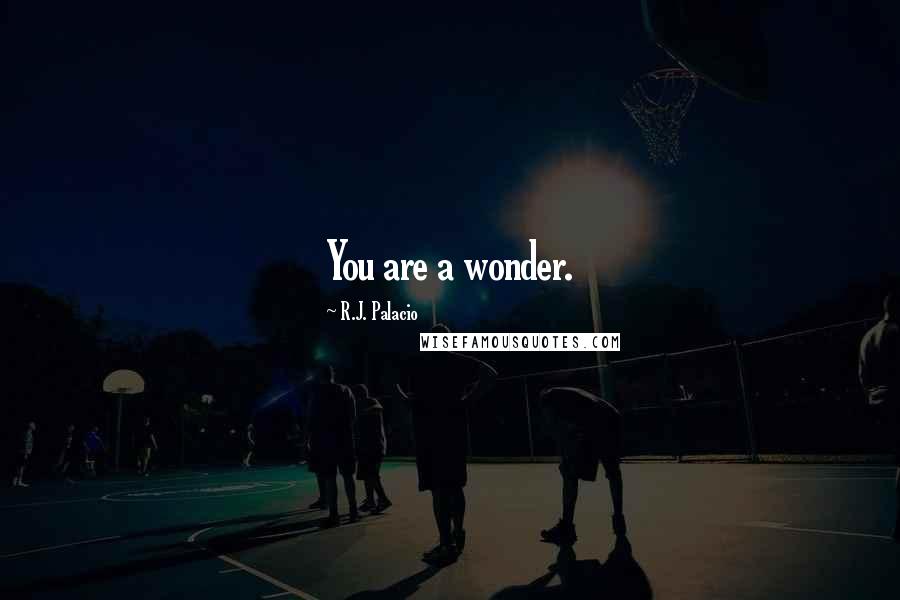 R.J. Palacio Quotes: You are a wonder.