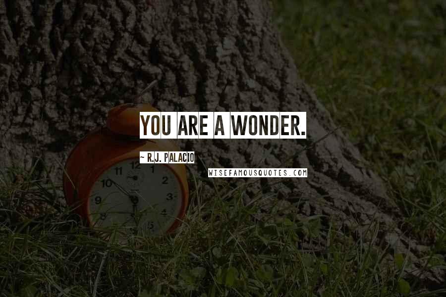 R.J. Palacio Quotes: You are a wonder.