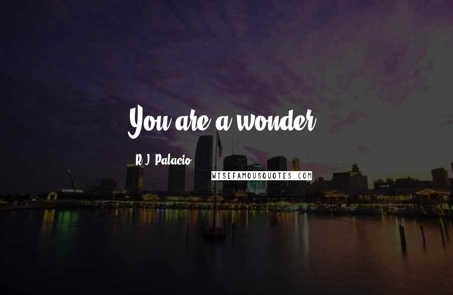 R.J. Palacio Quotes: You are a wonder.