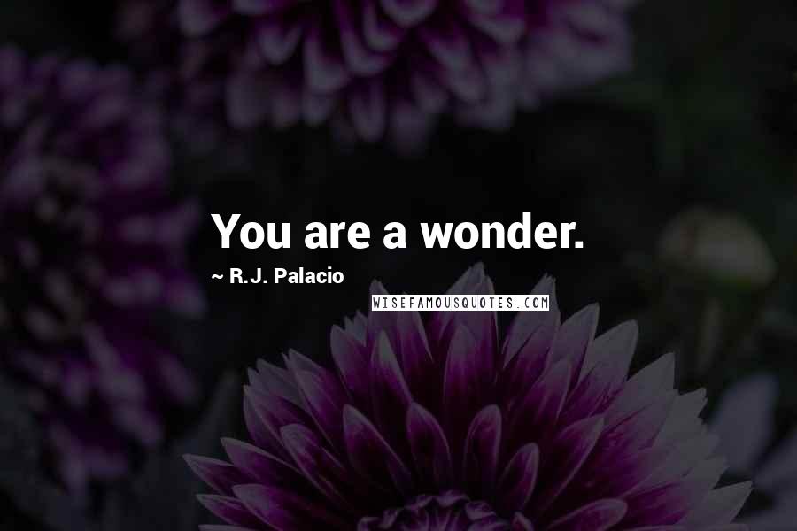 R.J. Palacio Quotes: You are a wonder.