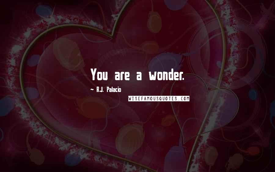 R.J. Palacio Quotes: You are a wonder.