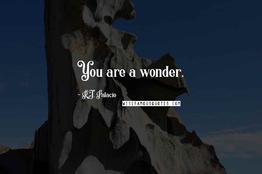 R.J. Palacio Quotes: You are a wonder.