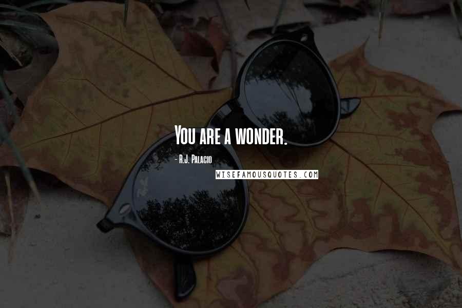 R.J. Palacio Quotes: You are a wonder.