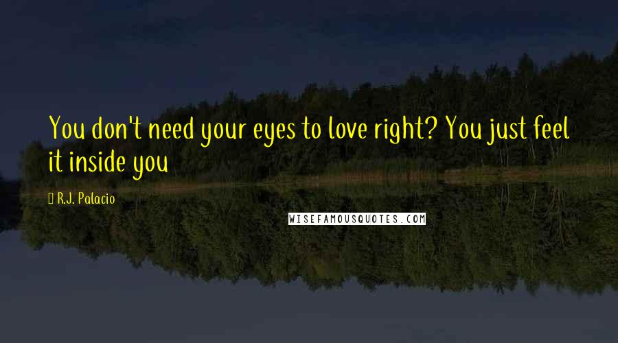 R.J. Palacio Quotes: You don't need your eyes to love right? You just feel it inside you
