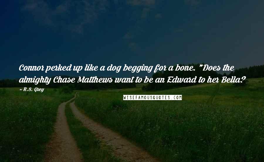 R.S. Grey Quotes: Connor perked up like a dog begging for a bone. "Does the almighty Chase Matthews want to be an Edward to her Bella?