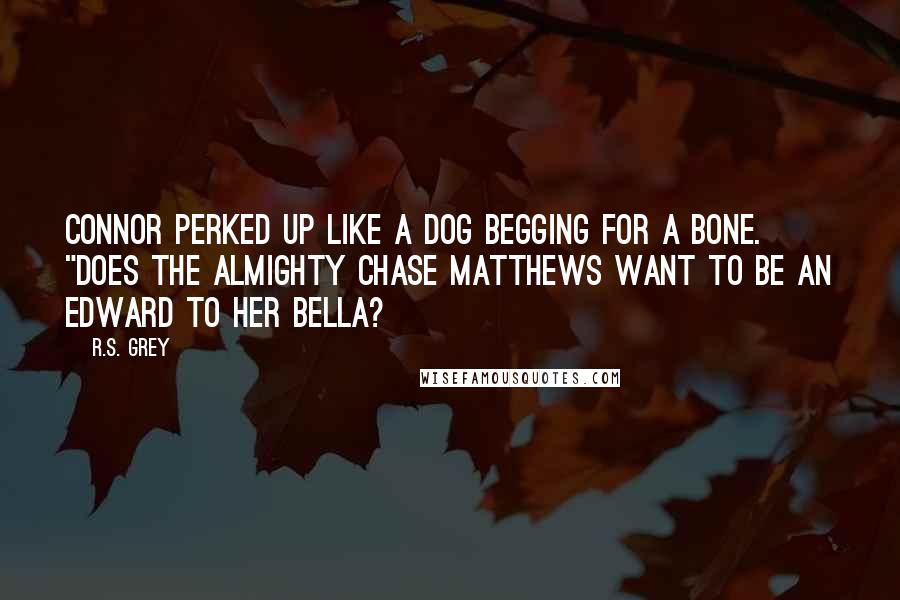 R.S. Grey Quotes: Connor perked up like a dog begging for a bone. "Does the almighty Chase Matthews want to be an Edward to her Bella?