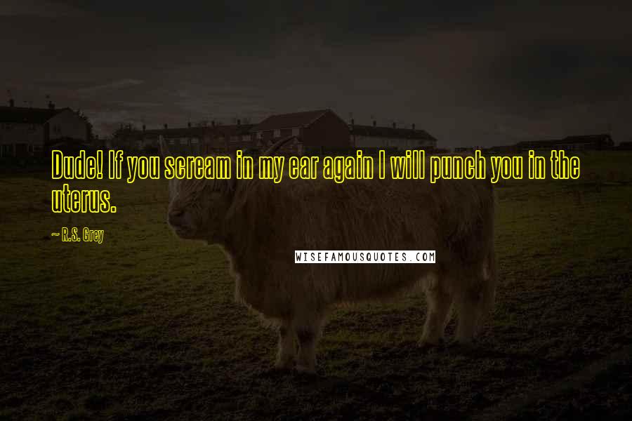 R.S. Grey Quotes: Dude! If you scream in my ear again I will punch you in the uterus.