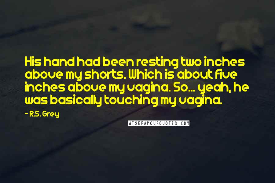 R.S. Grey Quotes: His hand had been resting two inches above my shorts. Which is about five inches above my vagina. So... yeah, he was basically touching my vagina.