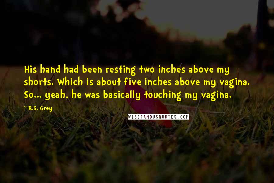 R.S. Grey Quotes: His hand had been resting two inches above my shorts. Which is about five inches above my vagina. So... yeah, he was basically touching my vagina.