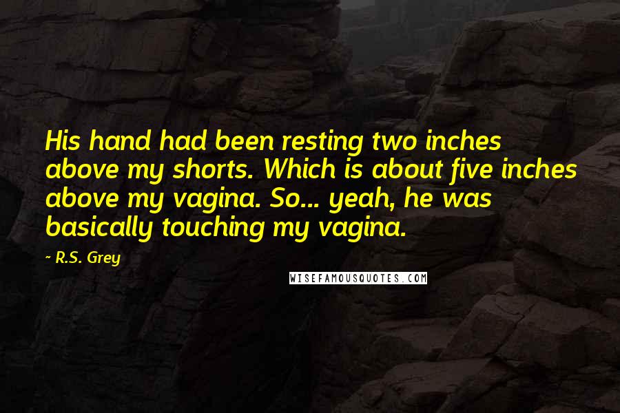 R.S. Grey Quotes: His hand had been resting two inches above my shorts. Which is about five inches above my vagina. So... yeah, he was basically touching my vagina.