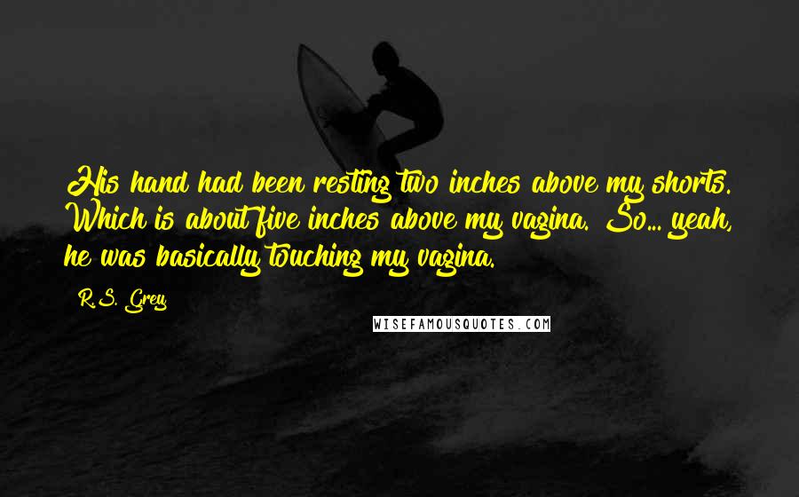 R.S. Grey Quotes: His hand had been resting two inches above my shorts. Which is about five inches above my vagina. So... yeah, he was basically touching my vagina.