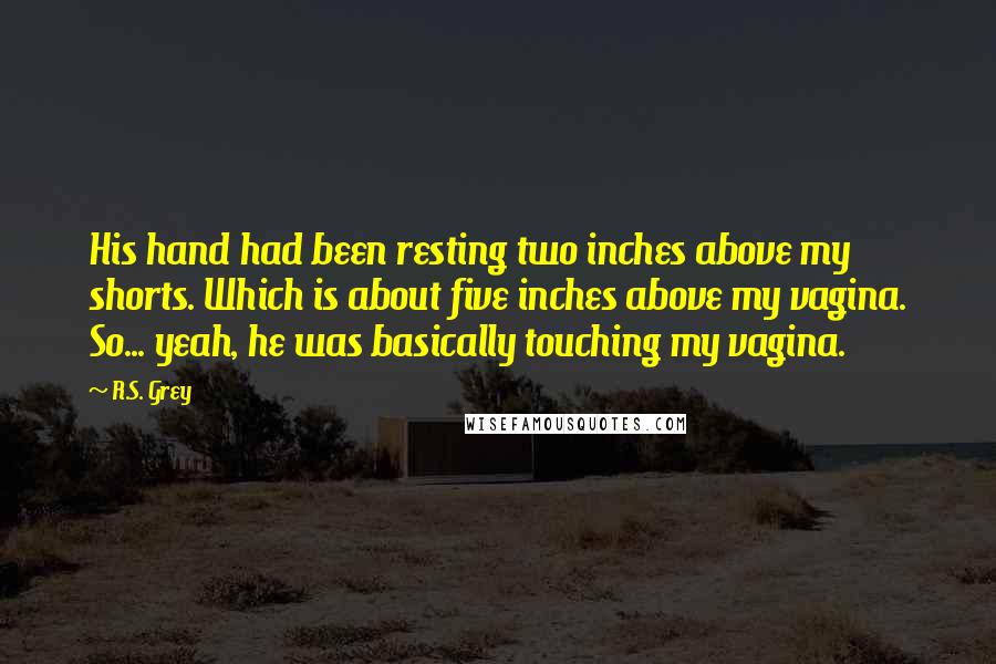 R.S. Grey Quotes: His hand had been resting two inches above my shorts. Which is about five inches above my vagina. So... yeah, he was basically touching my vagina.