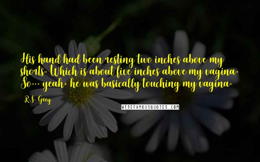 R.S. Grey Quotes: His hand had been resting two inches above my shorts. Which is about five inches above my vagina. So... yeah, he was basically touching my vagina.