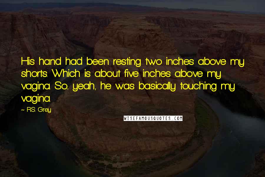 R.S. Grey Quotes: His hand had been resting two inches above my shorts. Which is about five inches above my vagina. So... yeah, he was basically touching my vagina.