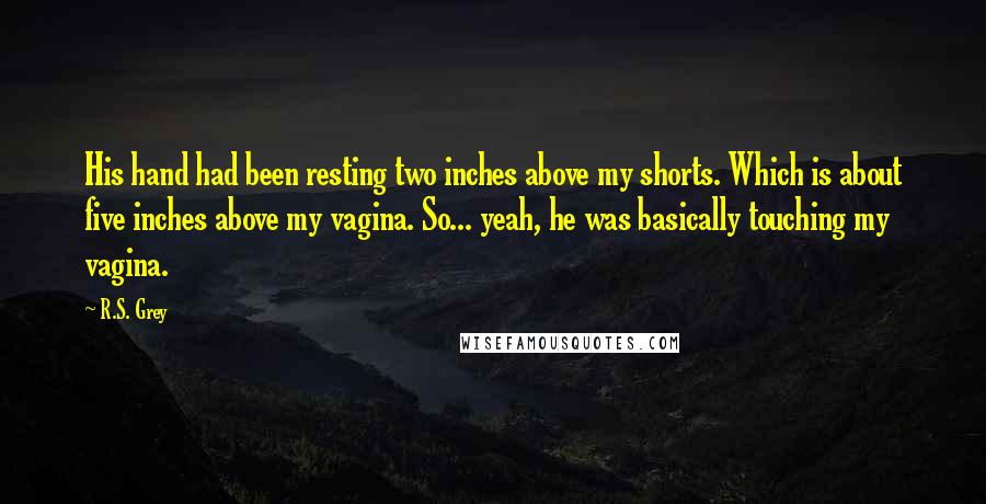 R.S. Grey Quotes: His hand had been resting two inches above my shorts. Which is about five inches above my vagina. So... yeah, he was basically touching my vagina.