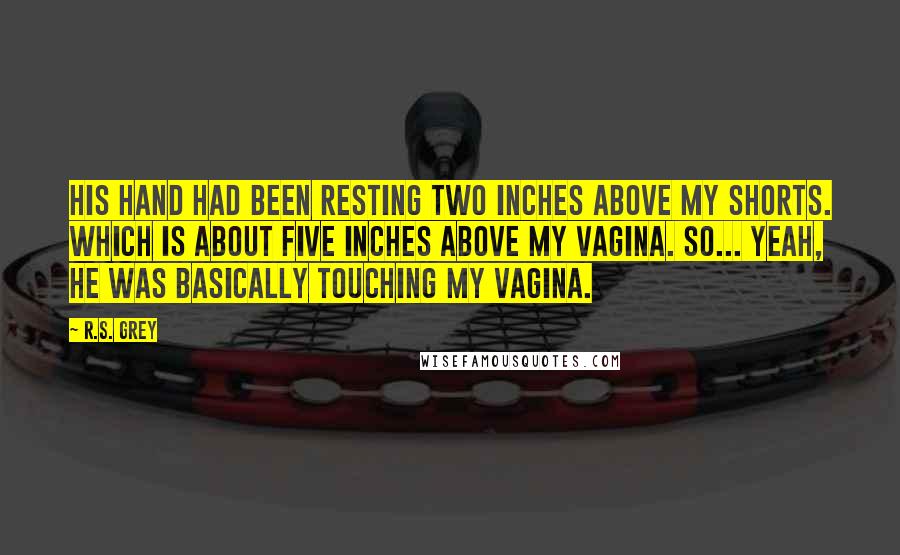 R.S. Grey Quotes: His hand had been resting two inches above my shorts. Which is about five inches above my vagina. So... yeah, he was basically touching my vagina.