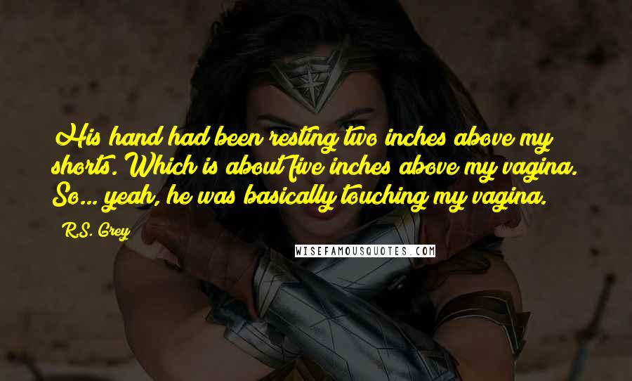 R.S. Grey Quotes: His hand had been resting two inches above my shorts. Which is about five inches above my vagina. So... yeah, he was basically touching my vagina.
