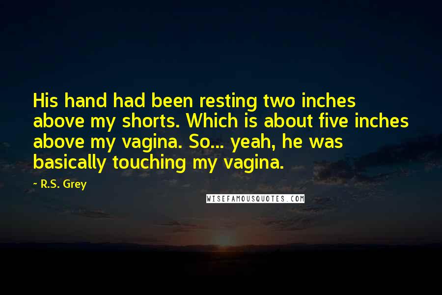 R.S. Grey Quotes: His hand had been resting two inches above my shorts. Which is about five inches above my vagina. So... yeah, he was basically touching my vagina.