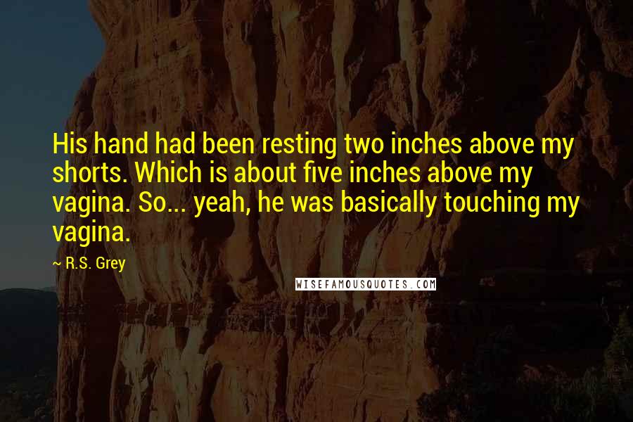 R.S. Grey Quotes: His hand had been resting two inches above my shorts. Which is about five inches above my vagina. So... yeah, he was basically touching my vagina.