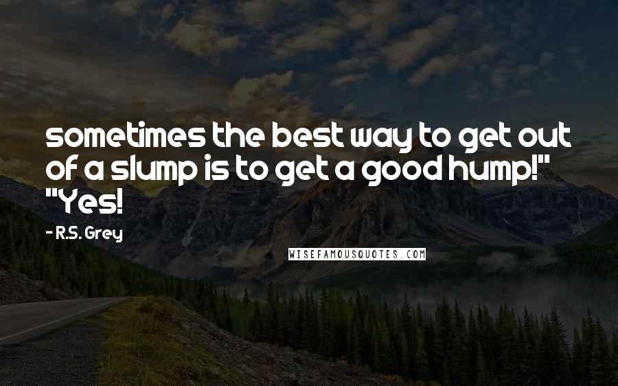 R.S. Grey Quotes: sometimes the best way to get out of a slump is to get a good hump!" "Yes!