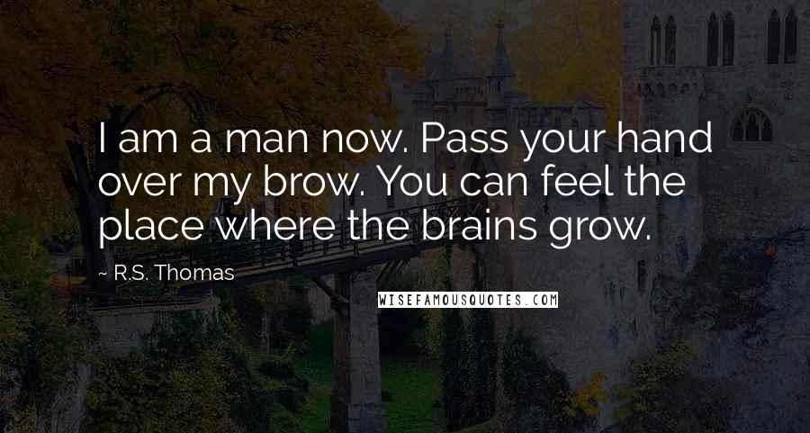 R.S. Thomas Quotes: I am a man now. Pass your hand over my brow. You can feel the place where the brains grow.